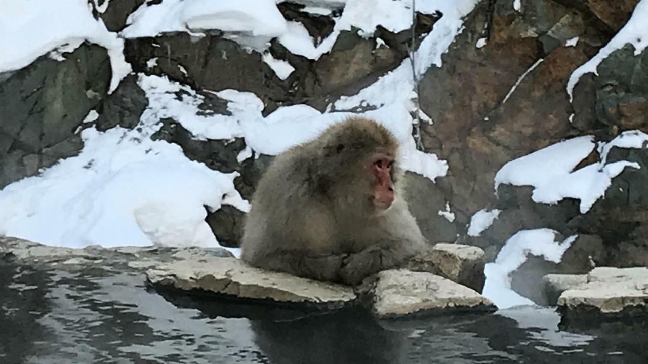 Blueberry Pension Madarao Iiyama Bagian luar foto
