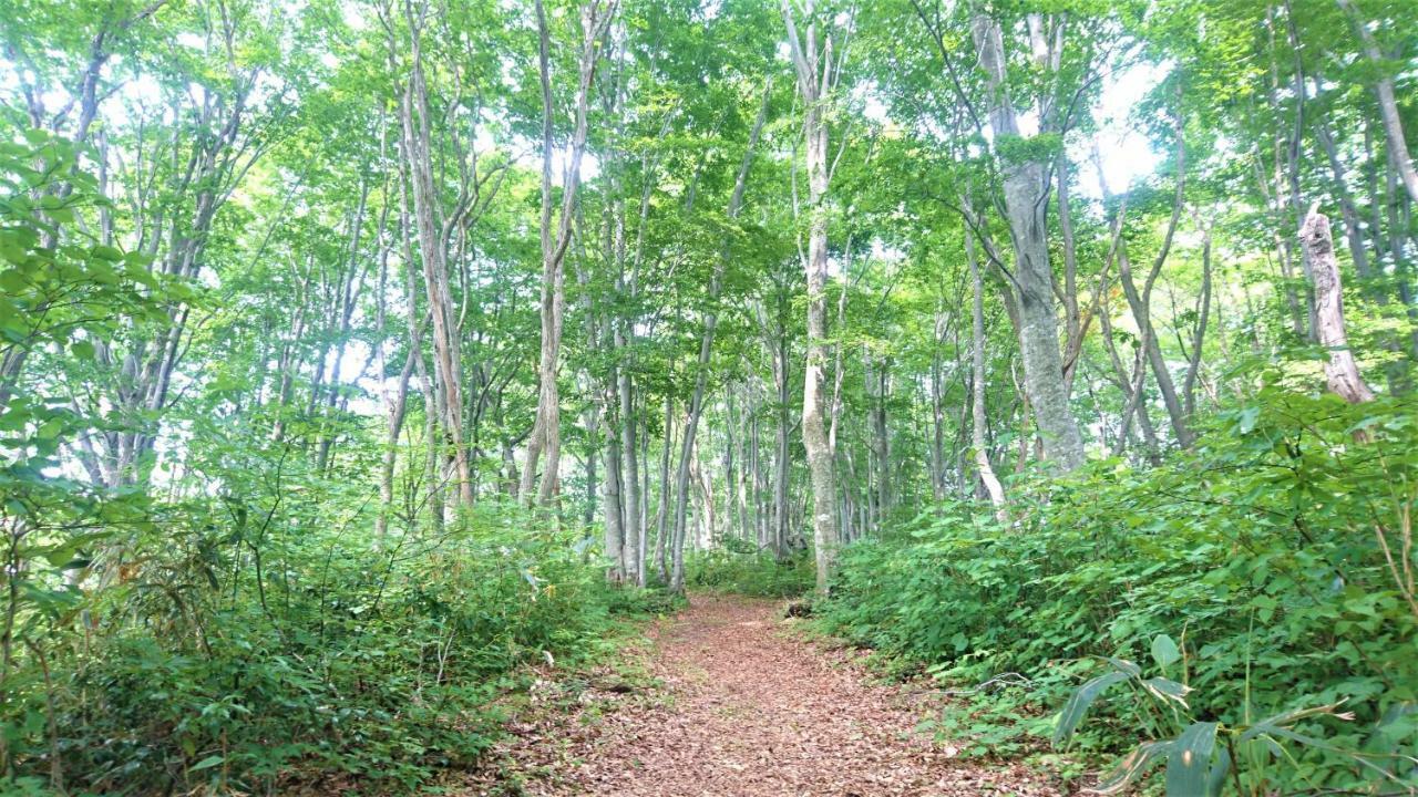 Blueberry Pension Madarao Iiyama Bagian luar foto