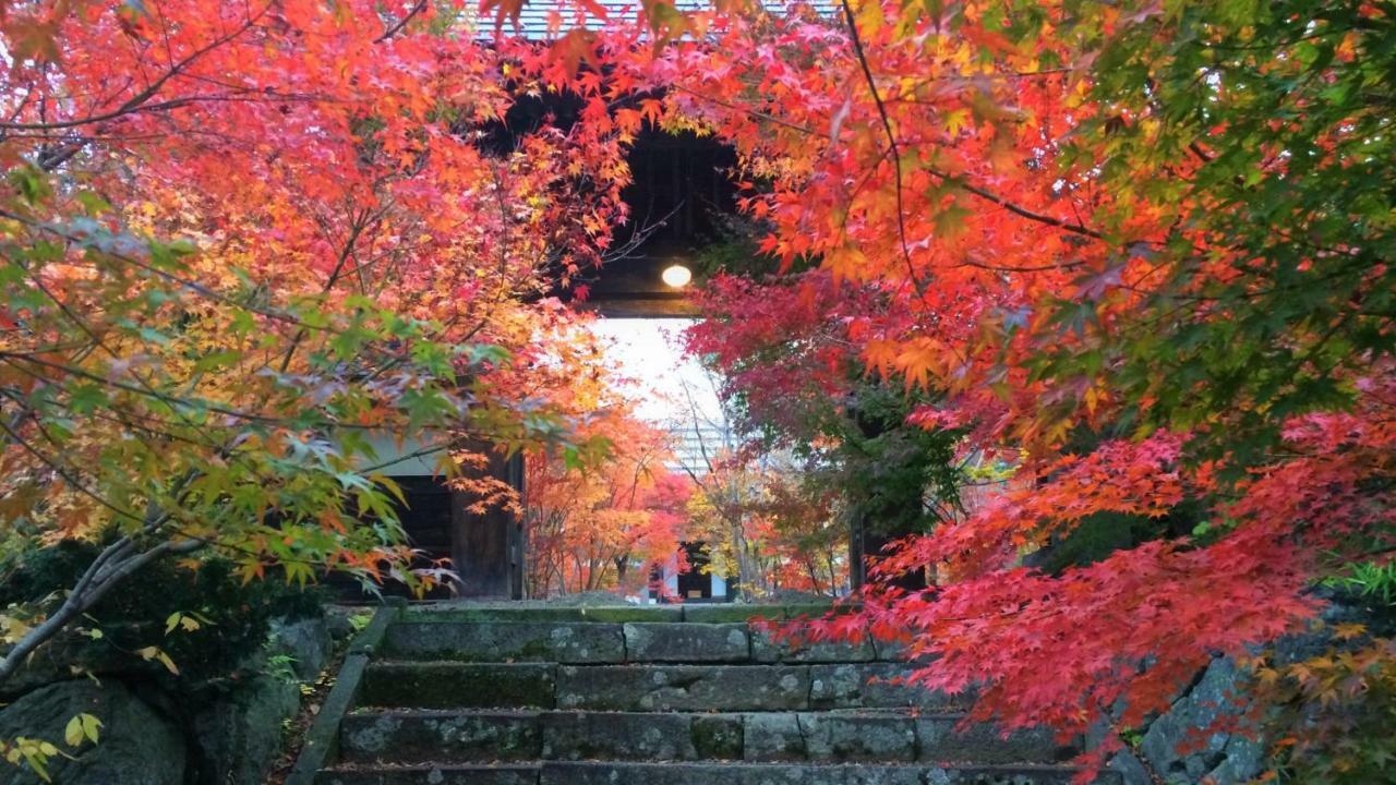 Blueberry Pension Madarao Iiyama Bagian luar foto