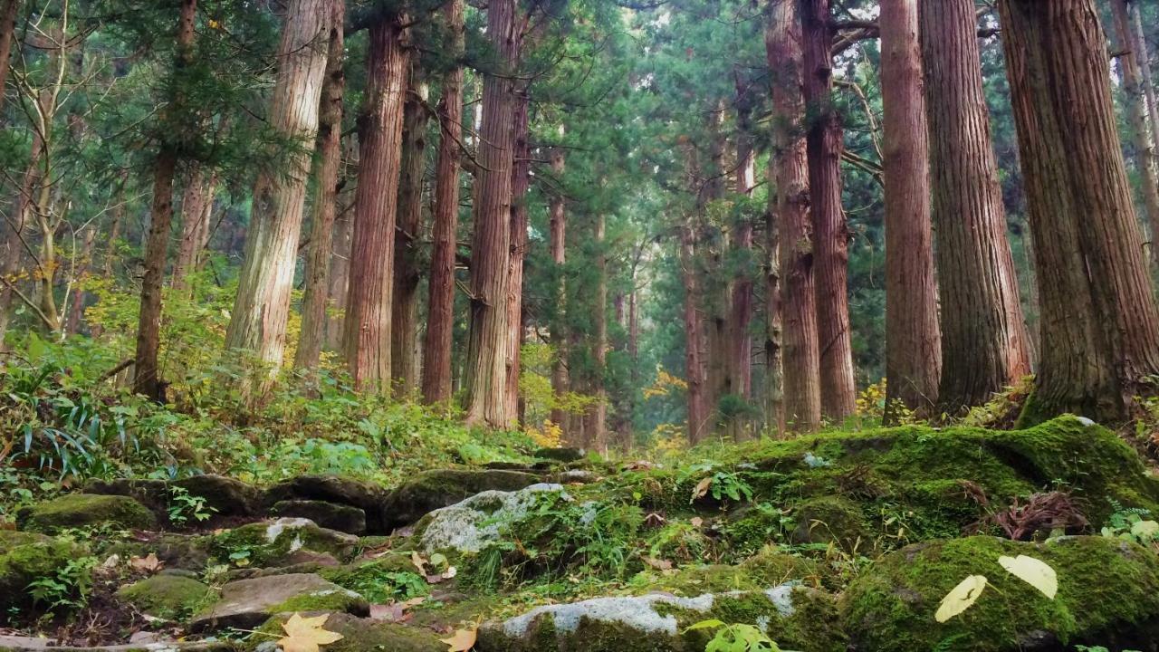 Blueberry Pension Madarao Iiyama Bagian luar foto