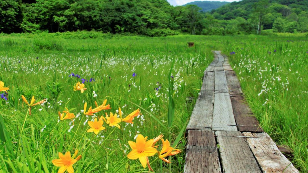 Blueberry Pension Madarao Iiyama Bagian luar foto